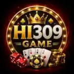 HI 309 Game