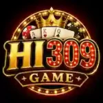 HI309 Game